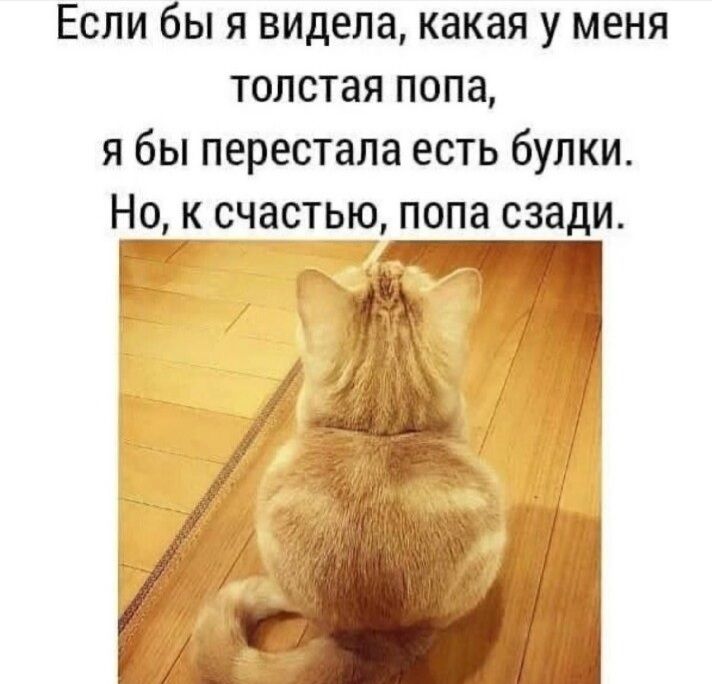 Если бы я видела какая у меня толстая попа я бы перестала есть булки Но к счастью попа сзади
