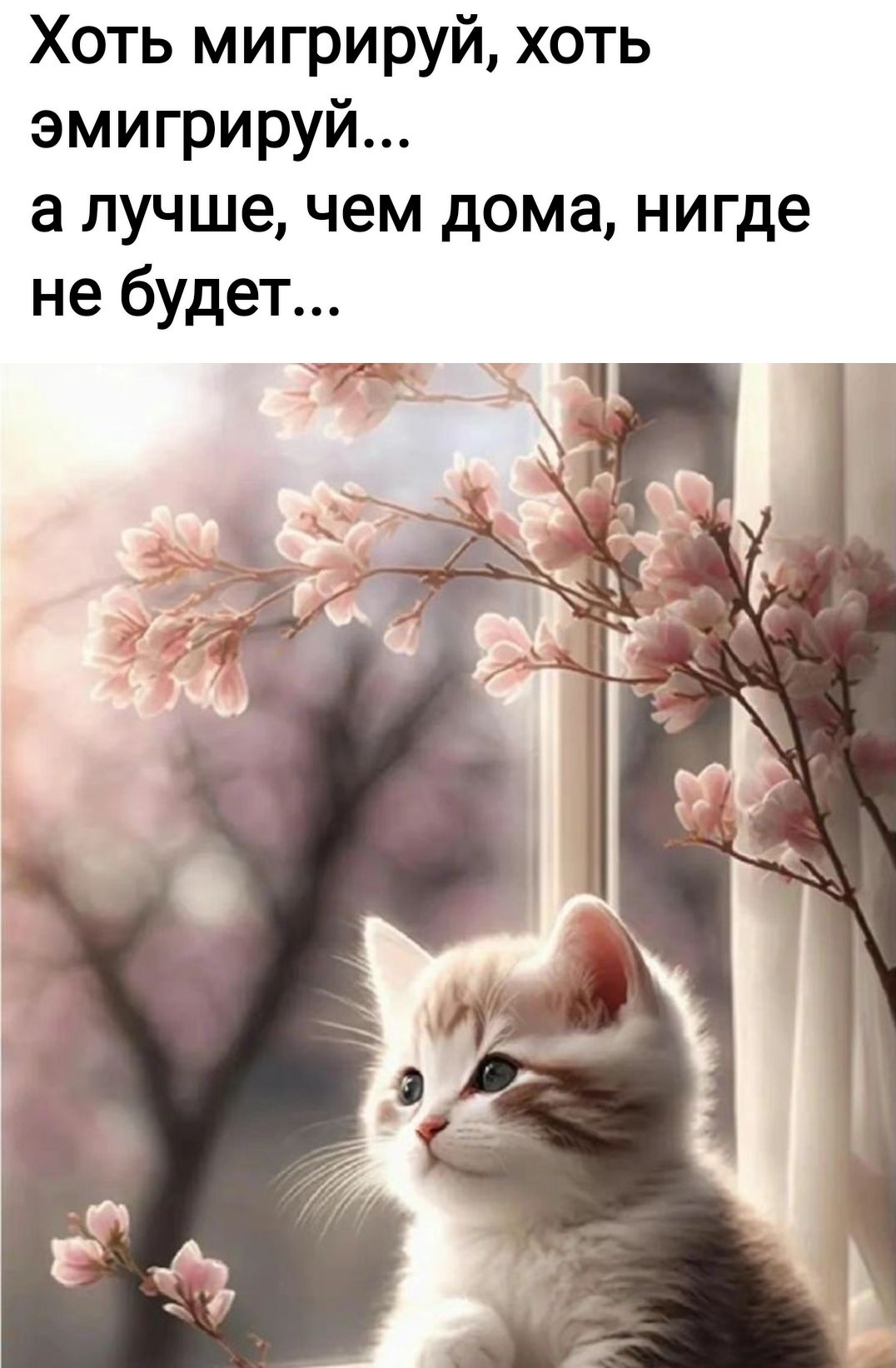 Хоть мигрируй хоть эмигрируй а лучше чем дома нигде не будет