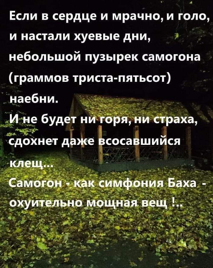 Если в сердце и мрачно и года и настали хуевые дни небольшой пузырек самогона граммов триста пятьсот наебни _ уне будет н тч сдохнет дЬже Ёсосаёшийся