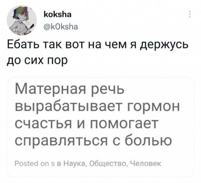 КоКвЬа КОКЭНВ Ебать так вот на чем я держусь дО СИХ пор Матерная речь вырабатывает гормон СЧЭСТЬЯ И помогает СПРЭВЛЯТЬСЯ С бОЛЬЮ ры вняуиа Пдщагтвп Цыгтврк