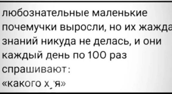 любознательные маленькие почемучки выросли но их жажда знаний никуда не делась и они каждый день по 100 раз спрашивают какого х_я