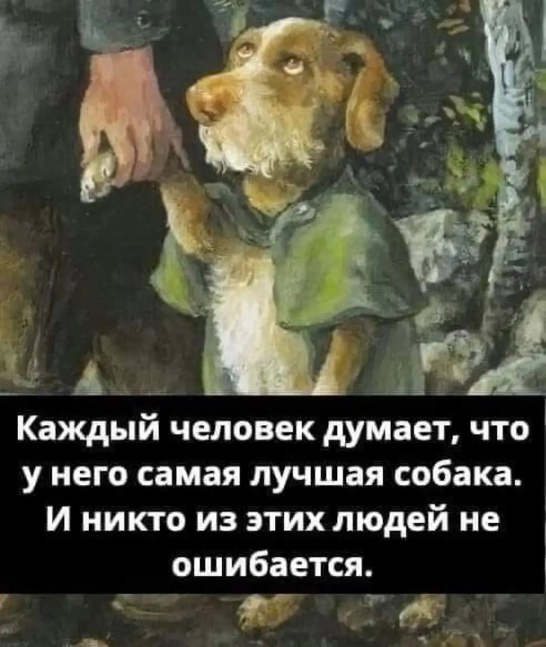 Каждый человек думает что у него самая лучшая собака и никто из этих людей не ошибается А