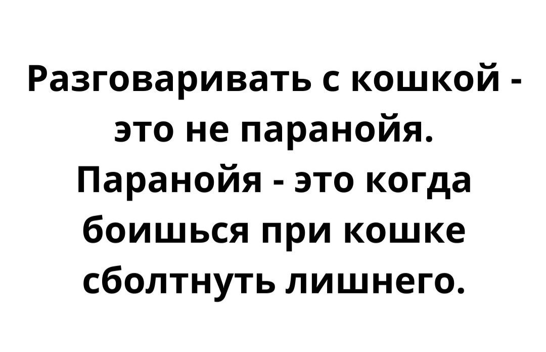 Разговаривать с кошкой это не паранойя Паранойя это когда боишься при кошке сболтнуть лишнего