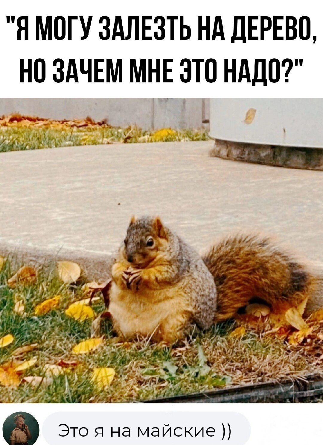 Я МПГУ ЗАЛЕЗТЬ НА ДЕРЕВО НП ЗАЧЕМ МНЕ ЭТО НМШ г д _ я _ _ _ И Это Я на майские