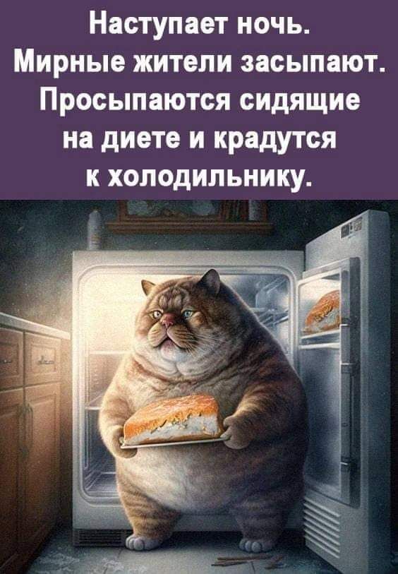 Наступает ночь Мирные жители засыпают Просыпаются сидящие на диете и крадутся к холодильнику