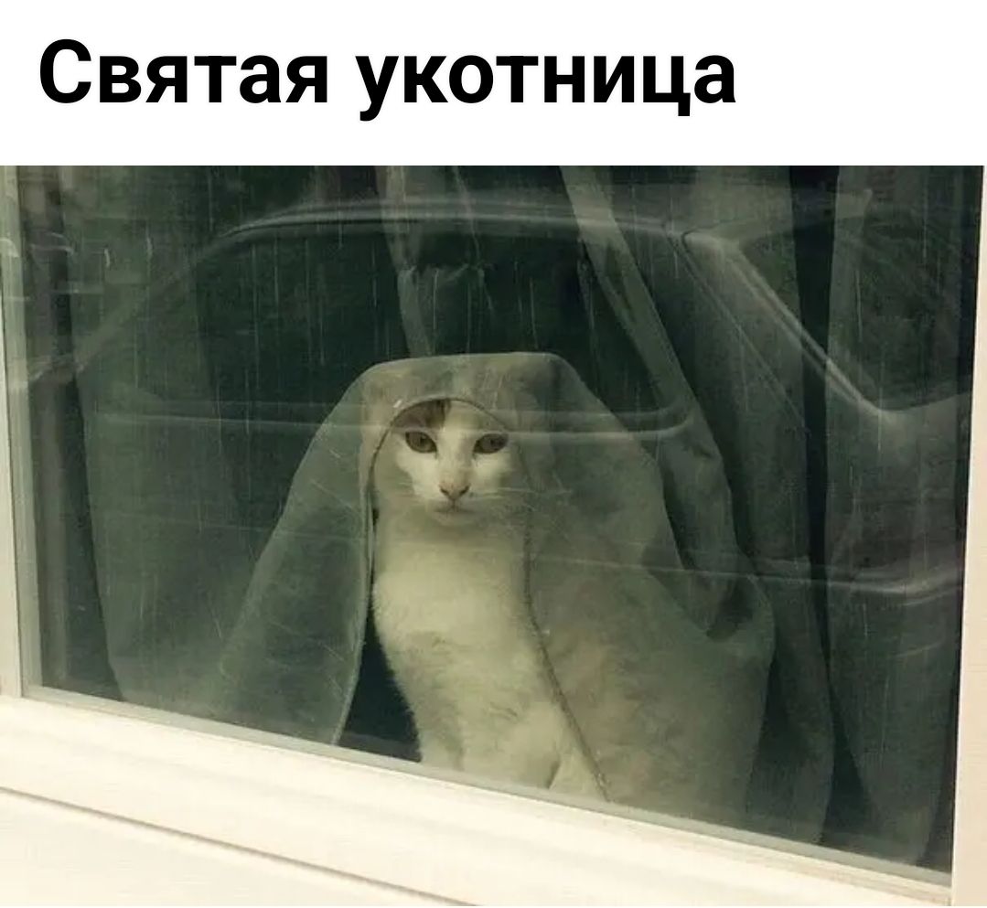 Святая укотница