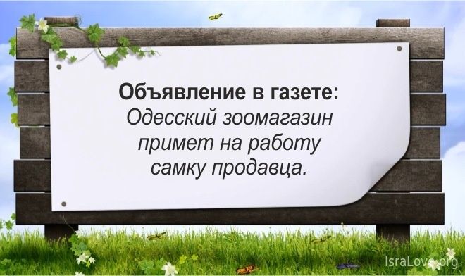 Объявление в газете Одесский зоомагазин примет на работу самку продавца