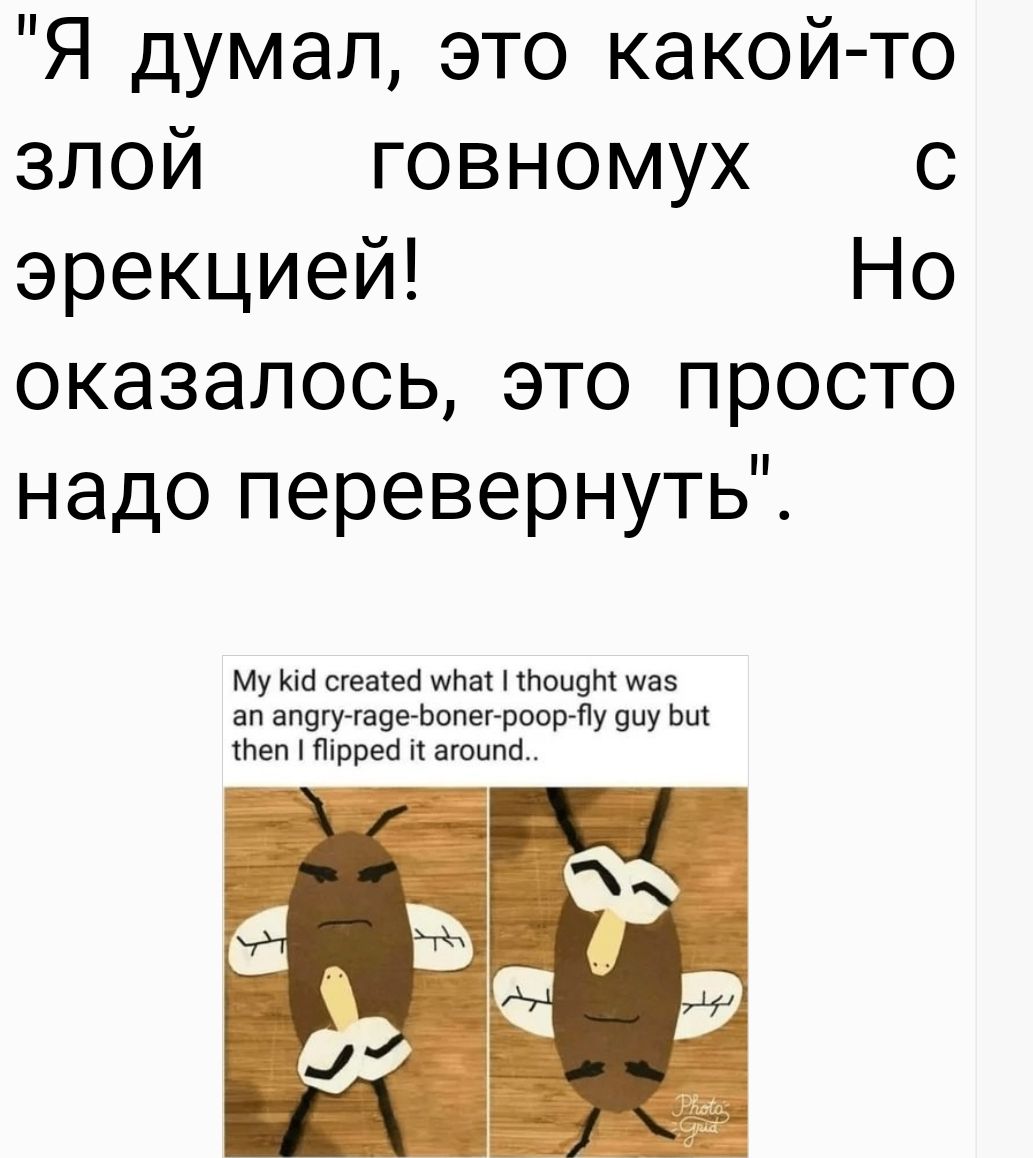 Я думал это какой то злой говномух с эрекцией Но оказалось это просто надо перевернуть Му на цены как лицам и ад эвтаназии вопит ппу ьщ Шел тарен шипа