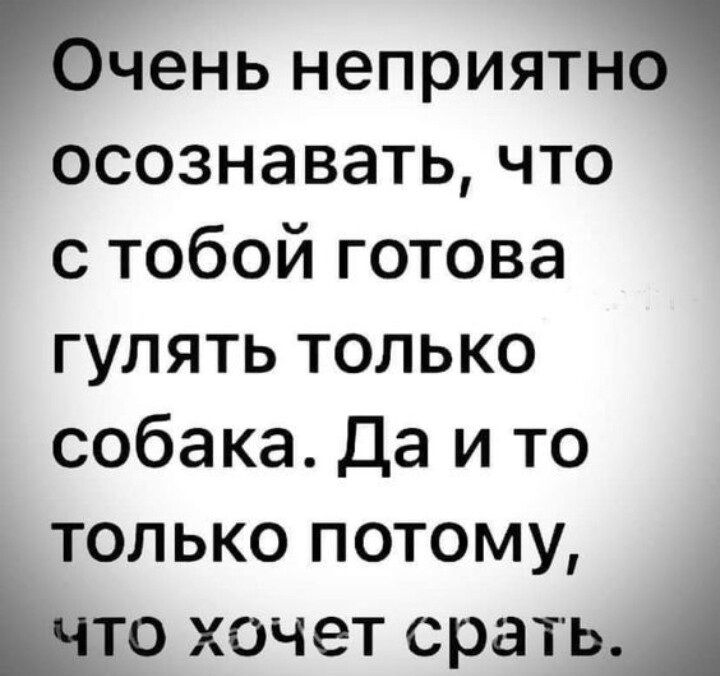 чень неприятно осознавать что с тобой готова гулять только собака Да и то только потому Мтс хочет срать А