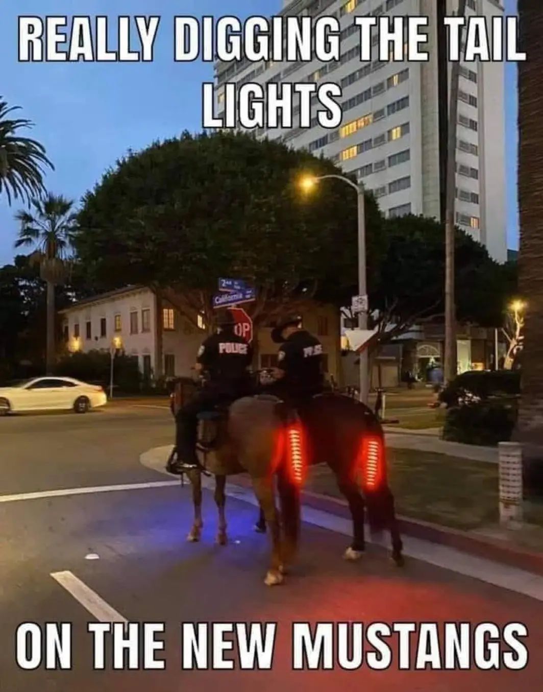 Ёіяі сйт меш мизтдмнз