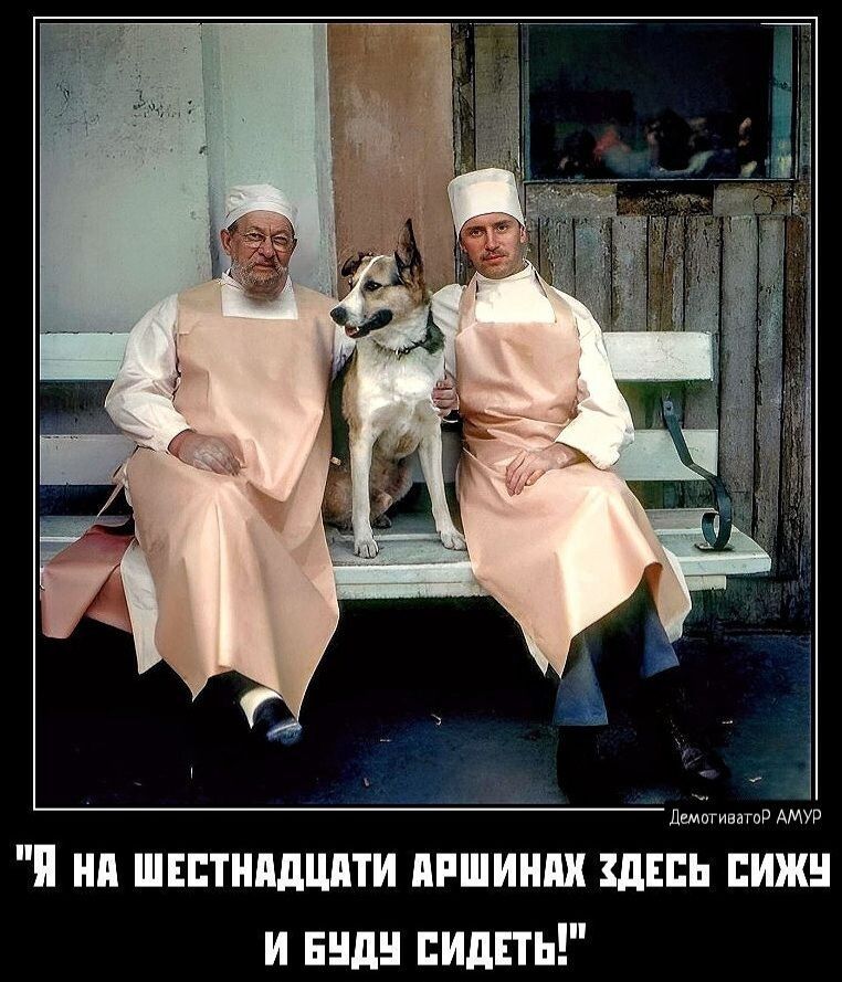 им я ни шитимщпти пишиш шин ижн и или лишь