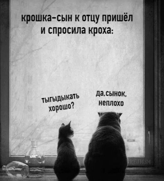 крошка сын к отцу пришёл и спросила кроха даыипк НЕПЛОХП тыгыдыка раша