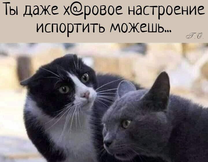 Ты даже хровое настроение испортить можешь