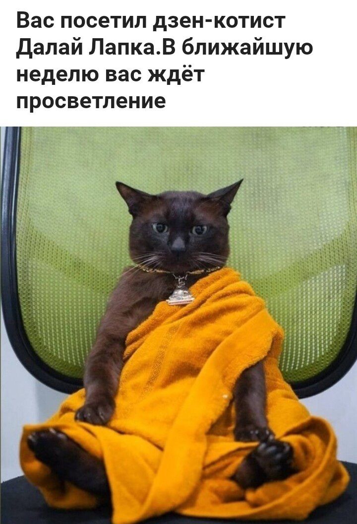 Вас посетил дзен котист далай ЛапкаВ ближайшую неделю вас ждёт просветление