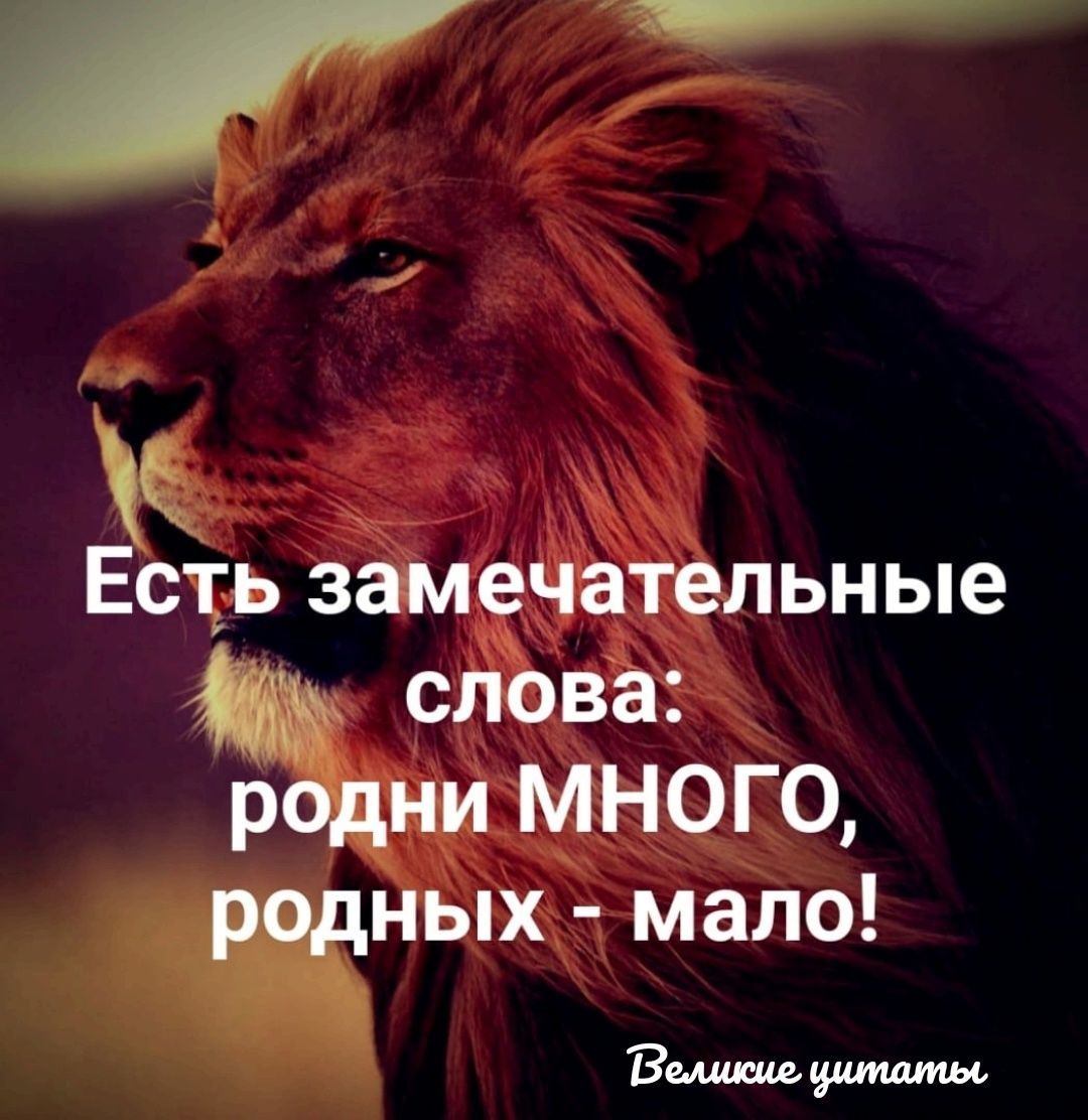 Есіь замечательные спЬва р нимного ных мало в