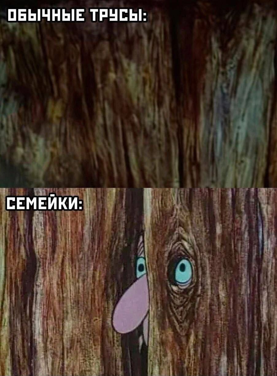 ПЕЫЧНЫЕ ТРНПЫ