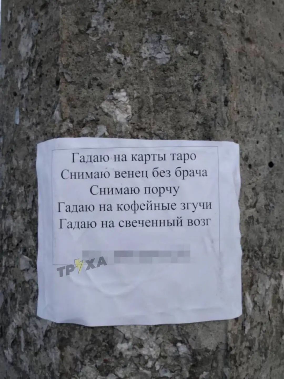 мпю карпы Шри пышно пепси беч чипы Снимаю хюрчу ню на кофейные пут ню пп спс шнный вон А