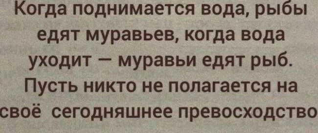 Когда поднимается вода рыбы едят муравьев когда вода уходит муравьи едят рыб Пусть никто не полагается на своё сегодняшнее превосходство