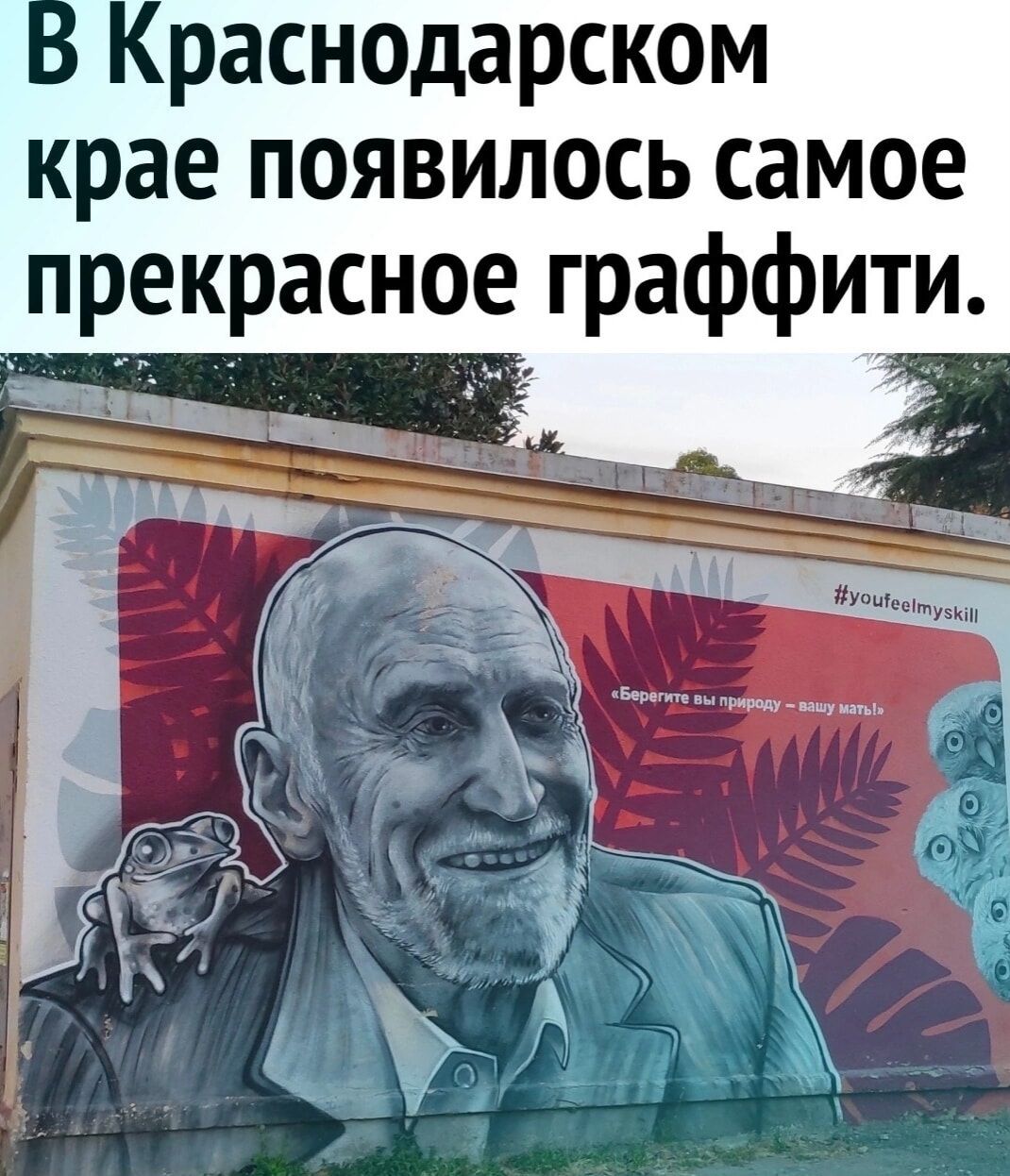 раснодарском крае появилось самое прекрасное граффити