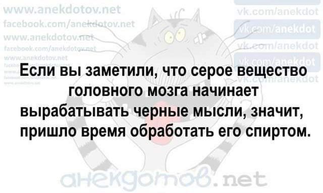 Если вы заметили что серое вещество головного мозга начинает вырабатывать черные мысли значит пришло время обработать его спиртом