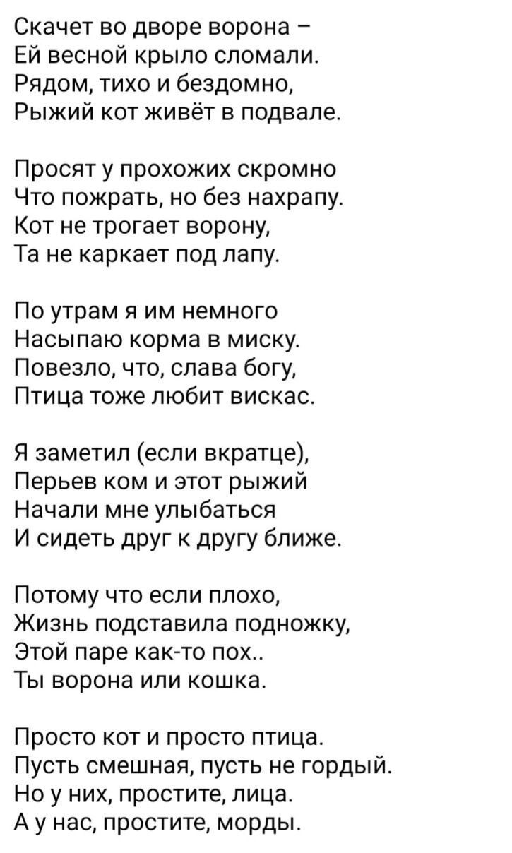 Скачет во дворе ворона Ей весной крыло сломали Рядом тихо и бездомно Рыжий кот живёт в подвале Просят у прохожих скромно Что пожрать но без нахралу Кот не трогает ворону Та не каркает под папу По утрам я им немного Насыпаю корма в миску Повезло что слава богу Птица тоже любит вискас Я заметил если вкратце Перьев ком и этот рыжий Начали мне улыбаться И сидеть друг к другу ближе Потому что если плох