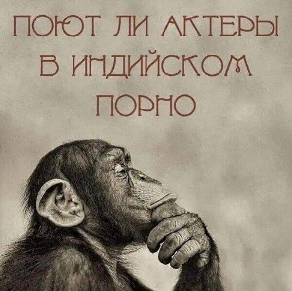 ПОЮТ ПИ АКТЕРЫ Б ИПДИЙСКОМ ПОРПО