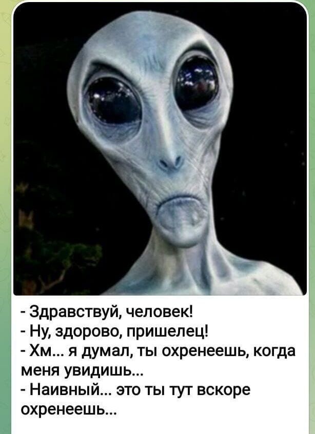 Здравствуй человек Ну здорово пришелец Хм я думал ты охренеешь когда МЕНЯ УВИДИШЬ Наивный это ты тут вскоре охренеешь