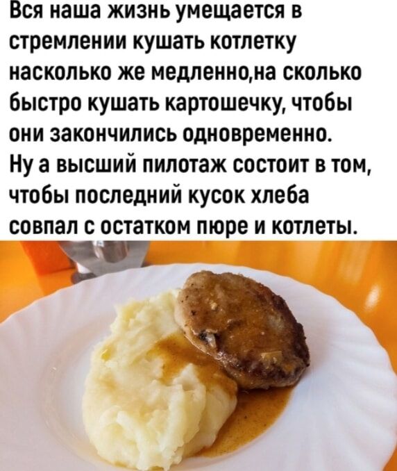 Вся наша жизнь умещается в стремлении кушать котлетку насколько же недленнома сколько быстро кушать картошечку чтобы они закончились одновременно Ну а высший пилотаж состоит в том чтобы последний кусок хлеба совпал с остатком пюре и котлеты