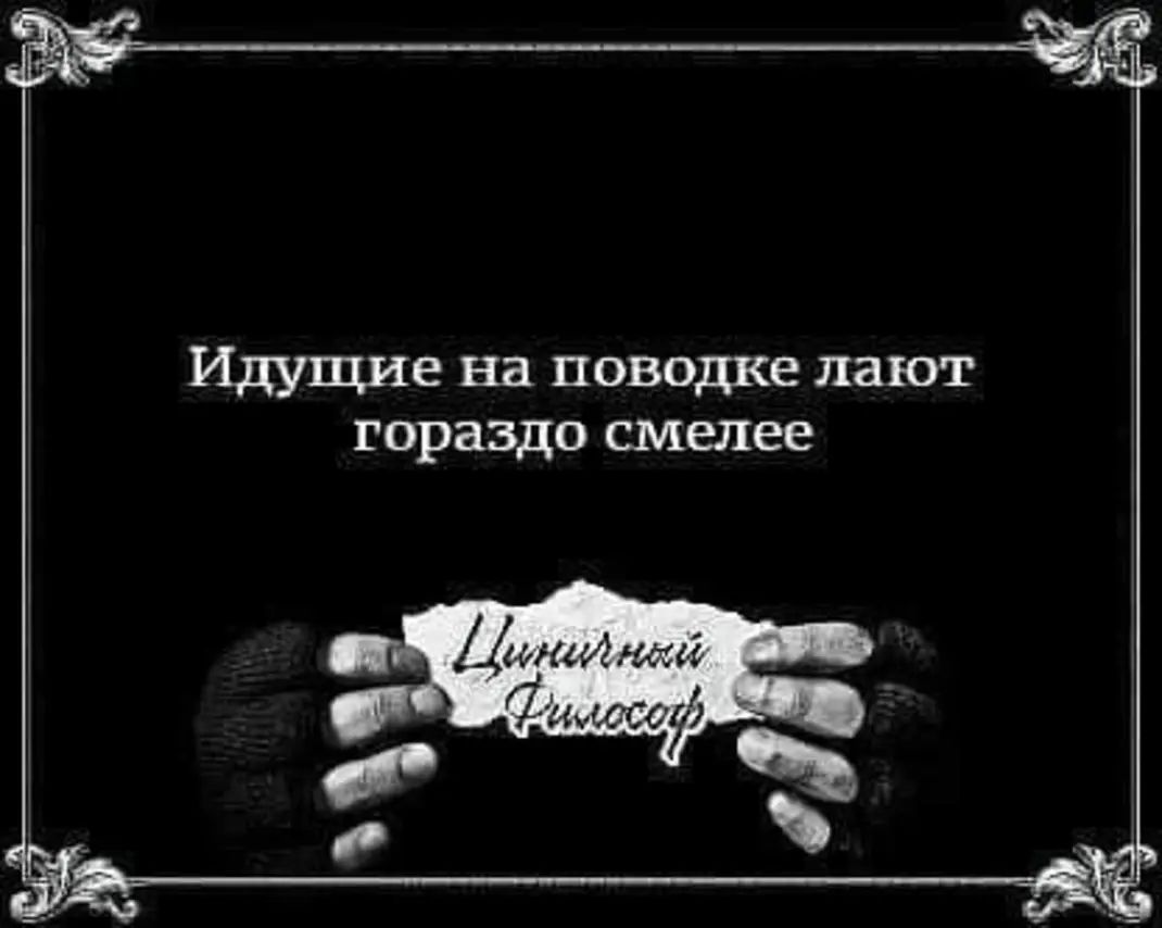 Идущие на поводке лают гораздо смелее