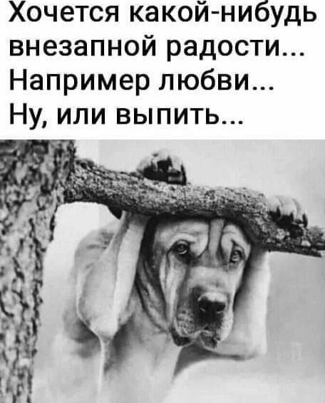 Хочется какой нибудь внезапной радости Например любви Ну или выпить