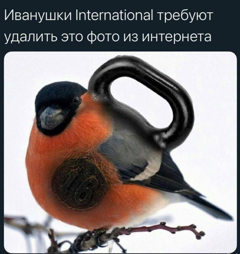 Иванушки пгегпатіопа требуют удалить это фото из интернета