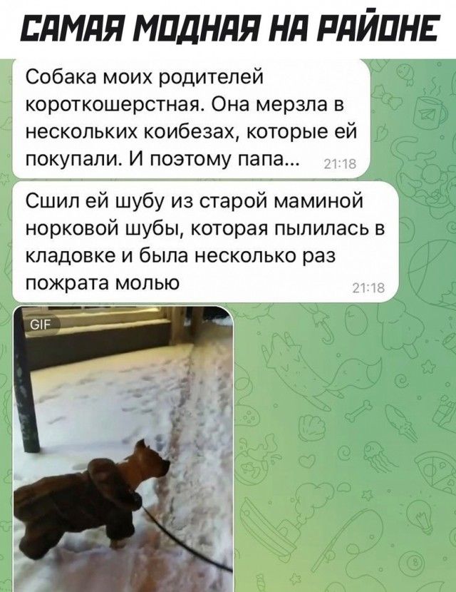 пдмдя мпднля нд плйпн Собака моих родителей короткошерстная Она мерзпа в нескольких коибезах которые ей покупали И поэтому папа Сшип ей шубу из старой маминой норковой шубы которая пыпипась в КЛЭДОВКЕЭ И была НЕСКОЛЬКО раз пожрата МОПЬЮ