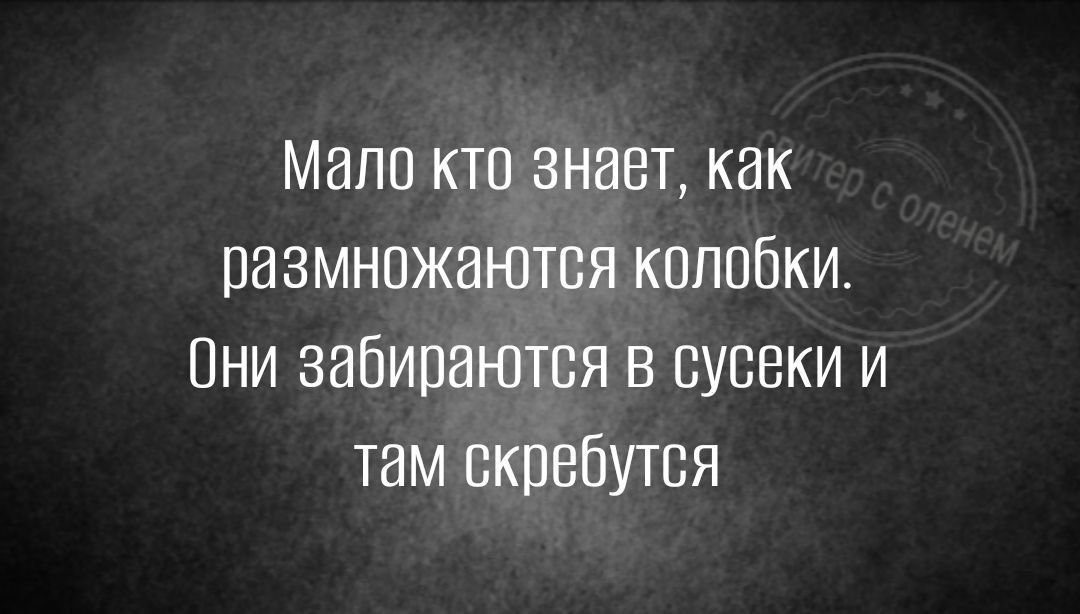 Мало кто знает как размножаются колобки Они забираются в вусеки и там пкпебутся