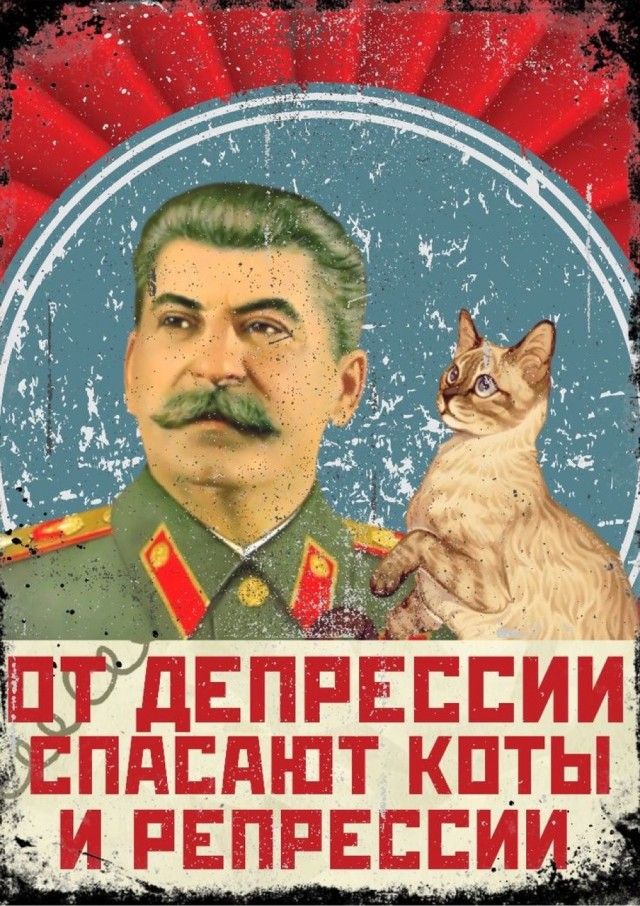 дЕдШТ КПТЫ гнёт дЕппвппиш и пвпрвсси