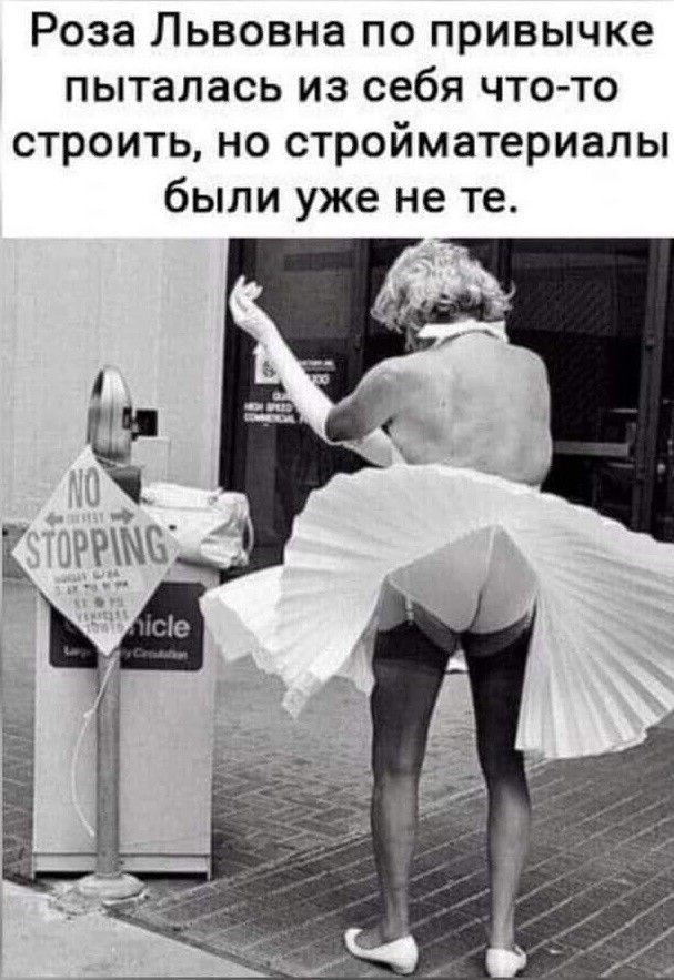 Роза Львовна по привычке пыталась из себя что то строить но стройматериалы были уже не те