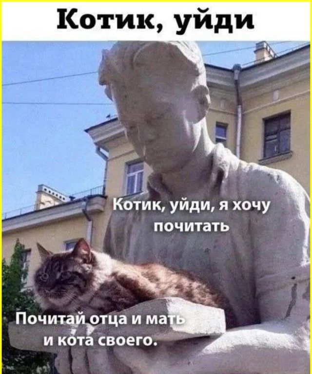 Котик уйди Е Котик уйди я хочу почитать Почитайотца и ма п и кота своего