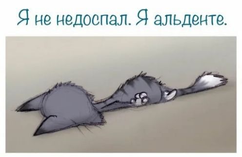 Я не недоспал Я альденте