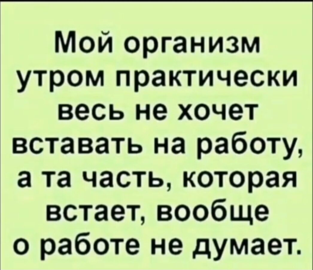 Мой организм утром практически весь не хочет вставать на работу а та часть которая встает вообще о работе не думает