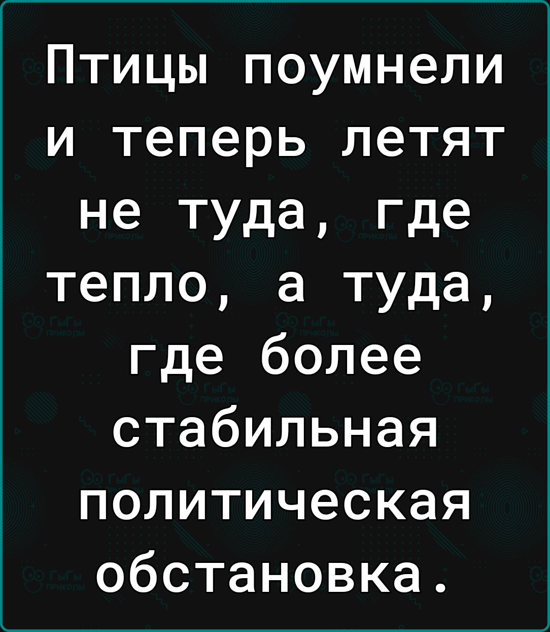 Птицы поумнели и теперь летят не туда где тепло а туда где более стабильная политическая обстановка