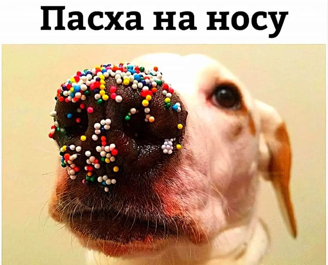 Пасха на носу