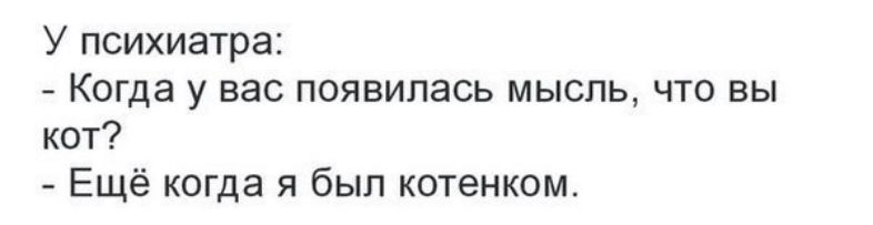 У психиатра Когда у вас появилась мысль что вы кот Ещё когда я был котенком