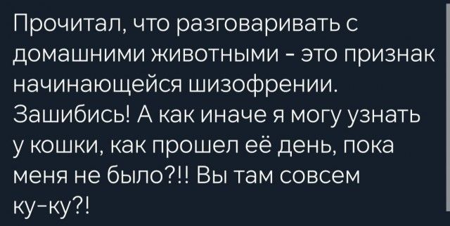 Прочитал что разговаривать с домашними животными это признак начинающейся шизофрении Зашибись А как иначе я могу узнать у кошки как прошел её день пока меня не было Вы там совсем куку