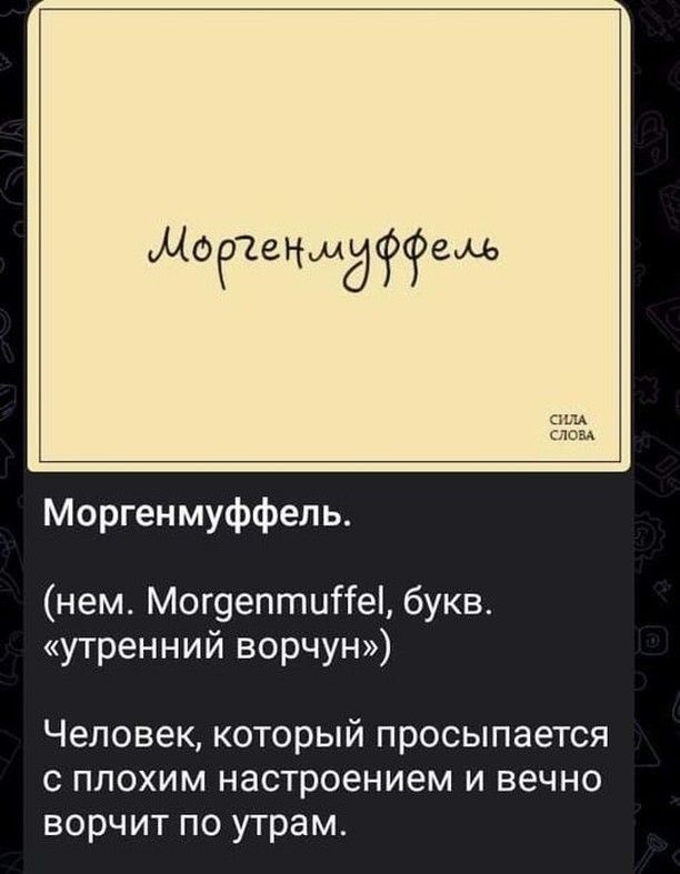 Жовтенмдкгоем Моргенмуффепь нем МогоептиНе букв утренний ворчун Человек который просыпается с плохим настроением и вечно ворчит по утрам