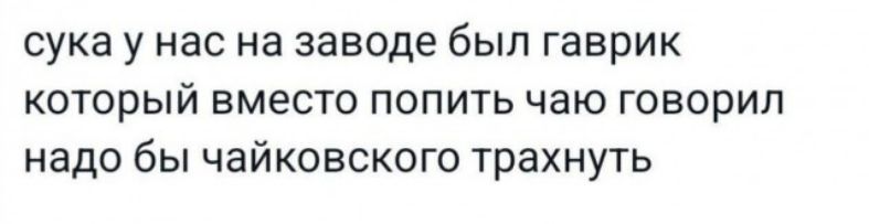 сука у нас на заводе был гаврик который вместо попить чаю говорил надо бы чайковского трахнуть