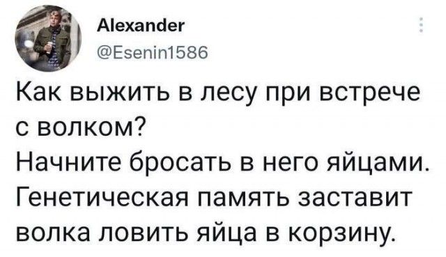 Аіехапаег Еэетптбзб Как выжить в лесу при встрече с волком Начните бросать в него яйцами Генетическая память заставит волка ЛОВИТЬ яйца В КОРЗИНУ