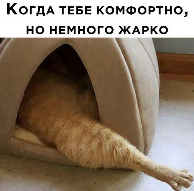 КогдА ТЕБЕ комфортно но немного ЖАРКО