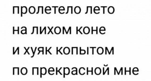 пролетепо лето на лихом коне и хуяк копытом по прекрасной мне