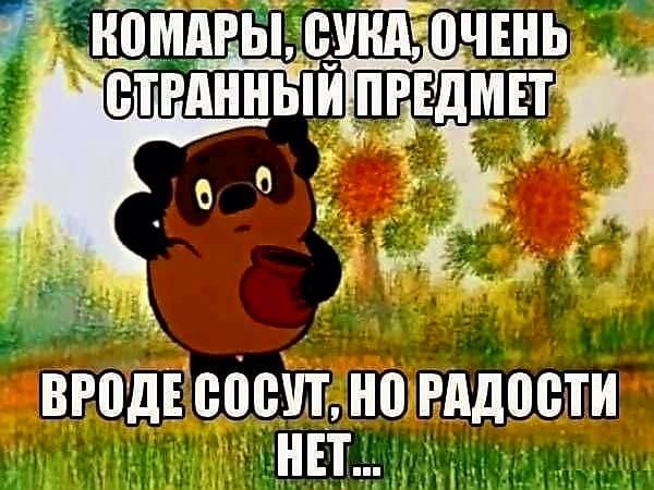 вроде пошив видами нп