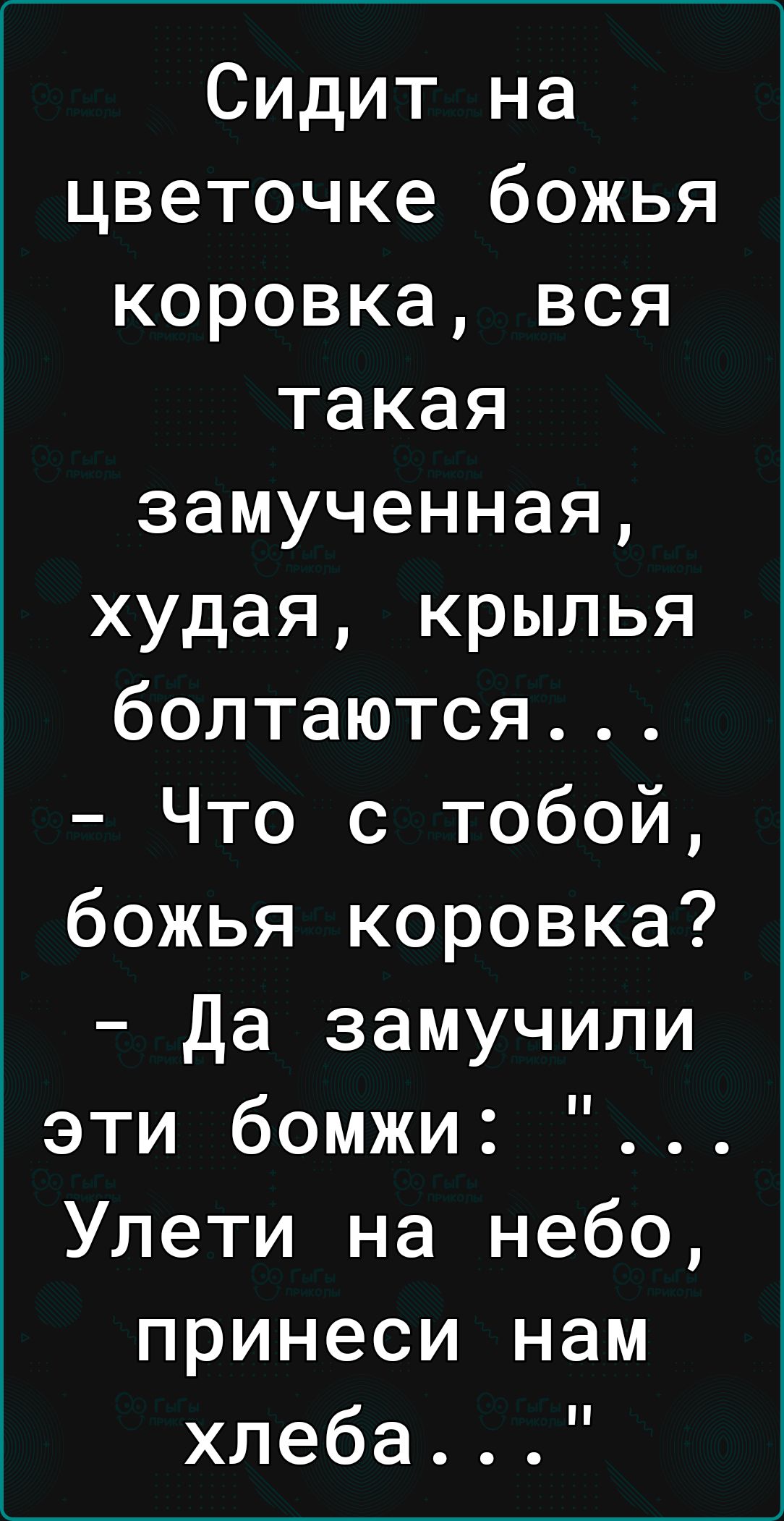 Сидит на цветочке божья коровка вся такая замученная худая крылья болтаются Что с тобой божья коровка Да замучили эти бомжи Улети на небо принеси нам хлеба