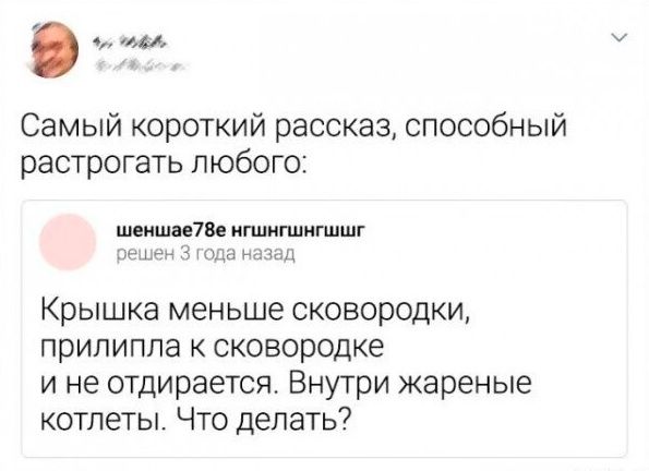 ш Самый короткий рассказ способный растрогать любого шиншил имишиппшг __ ад Крышка меньше сковородки прилипла сковородке и не отдирается Внутри жареные котлеты Что делать